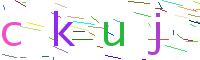 Verify Code